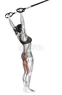 Suspension Hyperextension demonstration