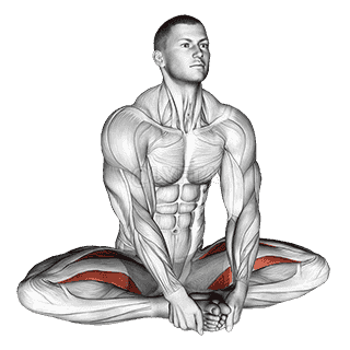 Seated Groin Stretch demonstration