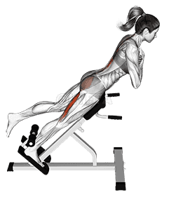 45 degree one leg hyperextension demonstration