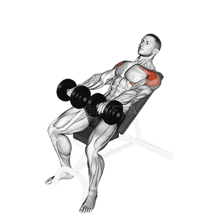 Incline Front Raise demonstration