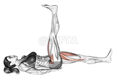 Lying Simultaneous Alternating Straight Leg Raise demonstration