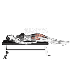 Lying Straight Leg Raise demonstration