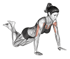 Push-up demonstration
