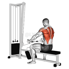 Seated Row demonstration