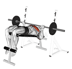 Reverse Grip Decline Bench Press demonstration
