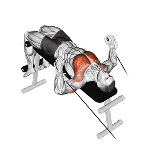 Decline Press demonstration