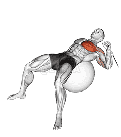 Cable One Arm Press on Exercise Ball demonstration