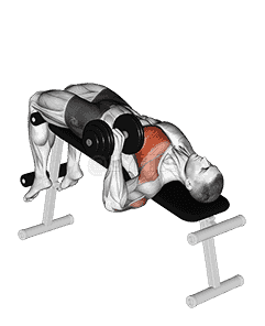 Dumbbell One Arm Decline Chest Press demonstration