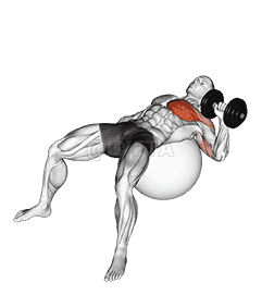 Dumbbell One Arm Press on Exercise Ball demonstration