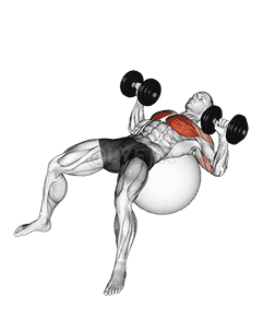 Dumbbell Press on Exercise Ball demonstration