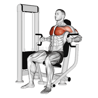 Machine Inner Chest Press demonstration