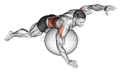 Exercise Ball Alternating Arm Ups demonstration