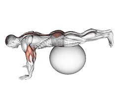 Exercise Ball Prone Leg Raise demonstration