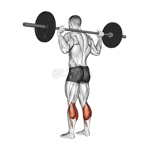 Floor Calf Raise demonstration