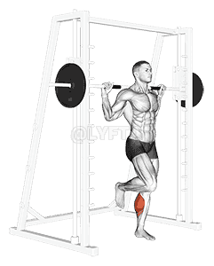 Smith One Leg Floor Calf Raise demonstration