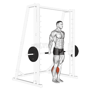 Smith Reverse Calf Raises demonstration