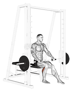 Smith Seated One Leg Calf Raise demonstration
