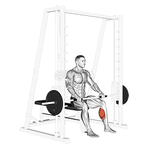 Smith Toe Raise demonstration