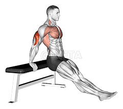 Bench dip on floor demonstration