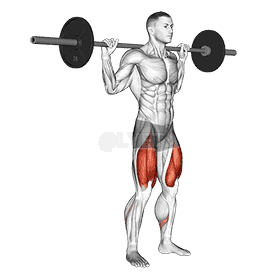 High Bar Squat demonstration