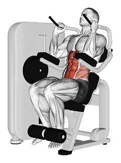 Lever Seated Crunch demonstration