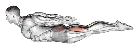 Locust Yoga Pose demonstration