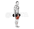 Dumbbell Walking Lunges demonstration