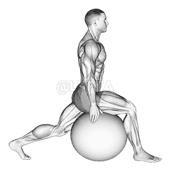 Exercise Ball Hip Flexor Stretch demonstration