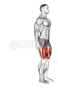 Bodyweight Rear Lunge demonstration