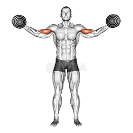 High Curl demonstration