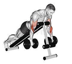 Dumbbell Reverse Spider Curl demonstration