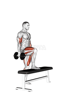 Dumbbell Step Up Single Leg Balance with Bicep Curl demonstration