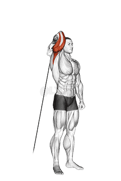 Cable Standing Reverse Grip One Arm Overhead Tricep Extension demonstration