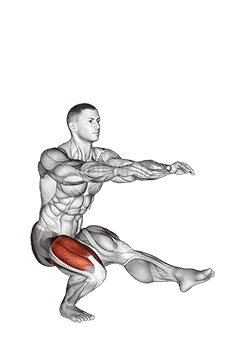 Single Leg Squat demonstration