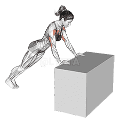 Incline Push Press demonstration