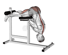 Hyperextension demonstration