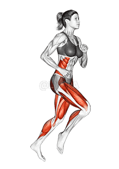 Run demonstration
