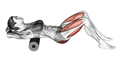 Roll Hip Thrust demonstration