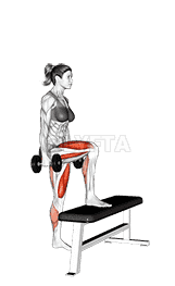 Dumbbell Step Up demonstration
