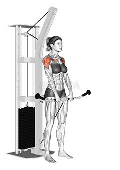 Cable Front Raise demonstration