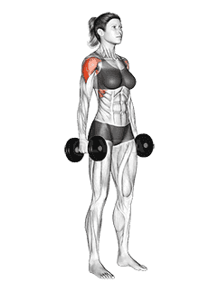 Dumbbell Standing Lateral Raise demonstration
