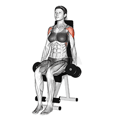 Dumbbell Seated Lateral Raise demonstration