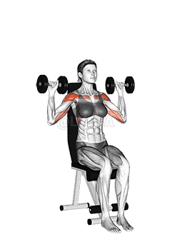 Dumbbell Seated Shoulder Press demonstration