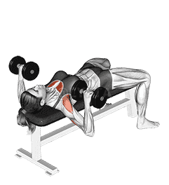 Dumbbell Bench Press demonstration