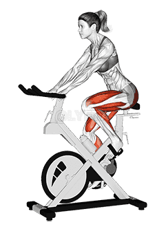 Stationary Bike Run demonstration