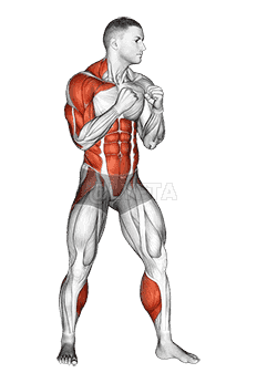 Right Uppercut. Boxing demonstration