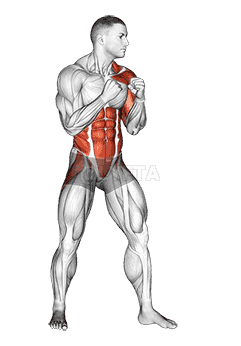 Left Uppercut. Boxing demonstration