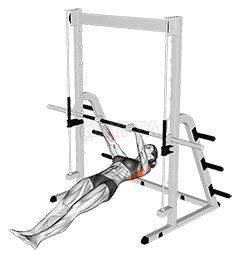 Inverted Row demonstration