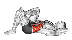 Lying Elbow to Knee demonstration