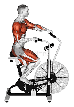 Cycle Cross Trainer demonstration